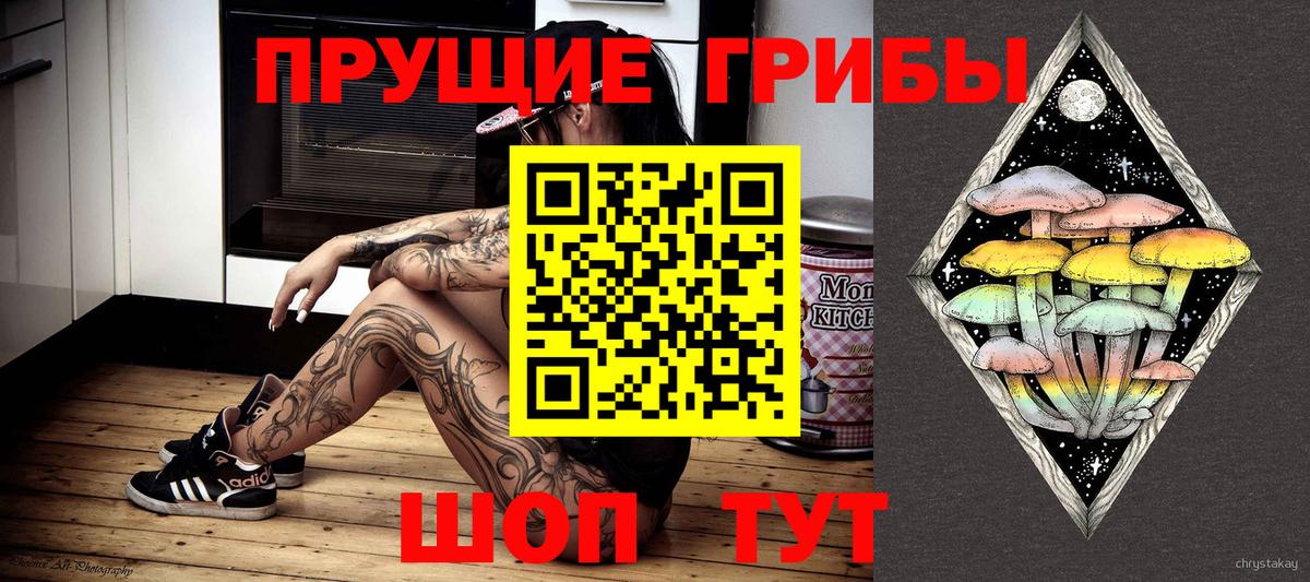 Псилоцибиновые грибы GOLDEN TEACHER  Вход с VPN  Асино 